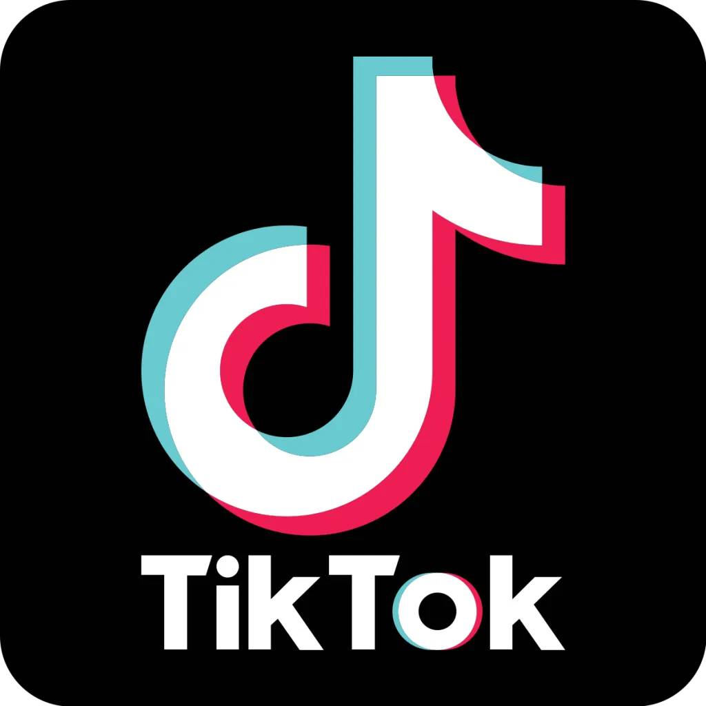 Tik tok downlood video