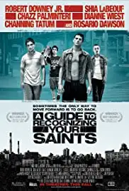A Guide to Recognizing Your Saints (2006)