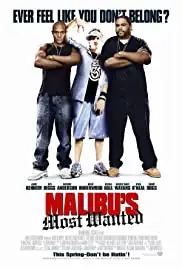 Malibu's Most Wanted (2003)