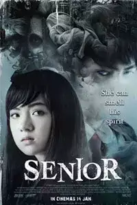 Senior (2016)