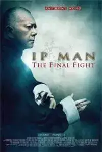 Ip Man (2013)