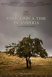 Bir Zamanlar Anadolu'da (2011)