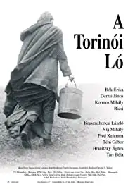 A torinói ló (2011)