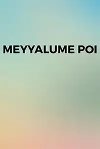 Meyyalume Poi (2013)
