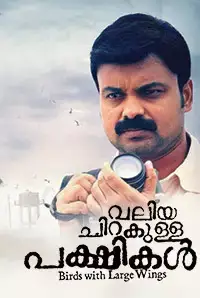 Valiya Chirakulla Pakshikal (2015)