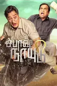 Sabash Naidu (2017)