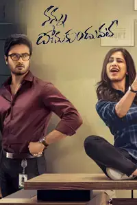Nannu Dochukunduvate (2018)
