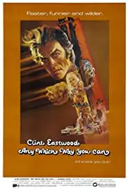 Any Which Way You Can (1980)