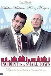 Incident in a Small Town (1994)