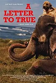 A Letter to True (2004)