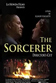 The Sorcerer (2015)
