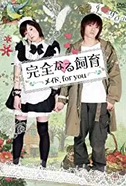Kanzen naru shiiku: Meido, for you (2010)