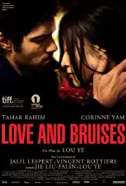 Love and Bruises (2011)