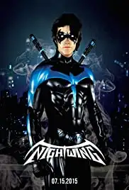 Robin: The Story of Dick Grayson (2010)