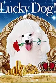 Erduo da you fu (2008)