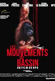 Les mouvements du bassin (2012)