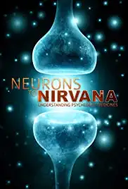 Neurons to Nirvana (2013)