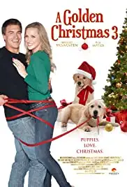 A Golden Christmas 3 (2012)