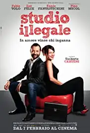 Studio illegale (2013)