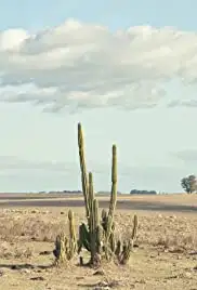 Blue Boy (2011)