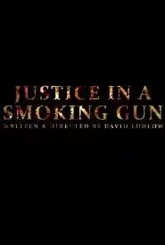 Justice in a Smoking Gun (2016)