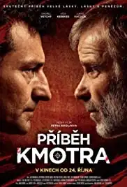 Príbeh kmotra (2013)