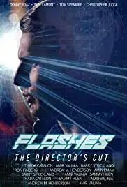 Flashes (2014)