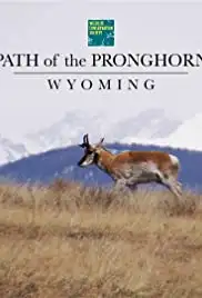Path of the Pronghorn (2013)