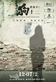 Einstein and Einstein (2013)