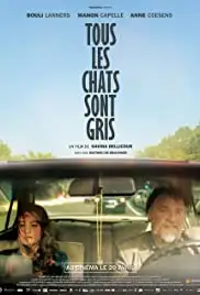 Tous les chats sont gris (2014)