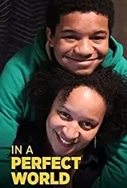 In a Perfect World (2015)