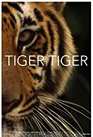 Tiger Tiger (2015)