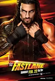 WWE Fastlane (2015)