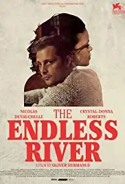 The Endless River (2015)