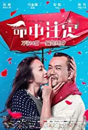 Ming zhong zhu ding (2015)