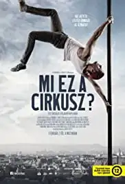Mi ez a cirkusz? (2017)