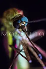 Mosquito (2017)