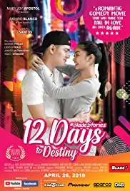 12 Days to Destiny (2019)