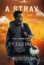 A Stray (2016)