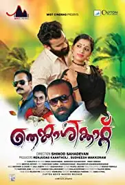 Thenkasikkatu (2019)