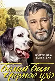 Belyy Bim Chernoe ukho (1977)
