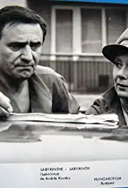 Labirintus (1976)