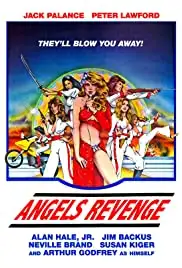 Angels' Brigade (1979)