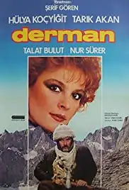 Derman (1983)