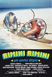 Rimini Rimini - Un anno dopo (1988)