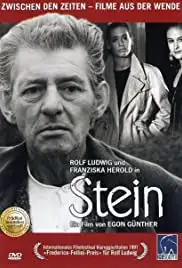 Stein (1991)
