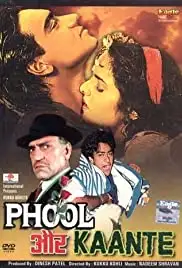 Phool Aur Kaante (1991)