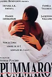Pummarò (1990)
