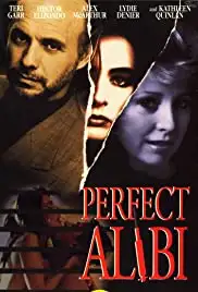 Perfect Alibi (1995)