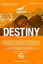 Destiny (2014)